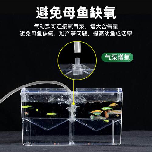 斗鱼孵化孵化其它水族用具设备