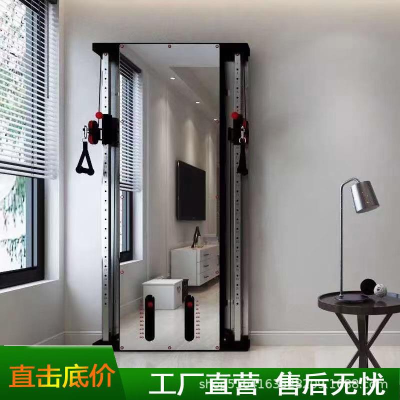 墙体镜面小飞鸟外贸贴墙小飞鸟综合训练器龙门架壁挂式墙体小飞鸟