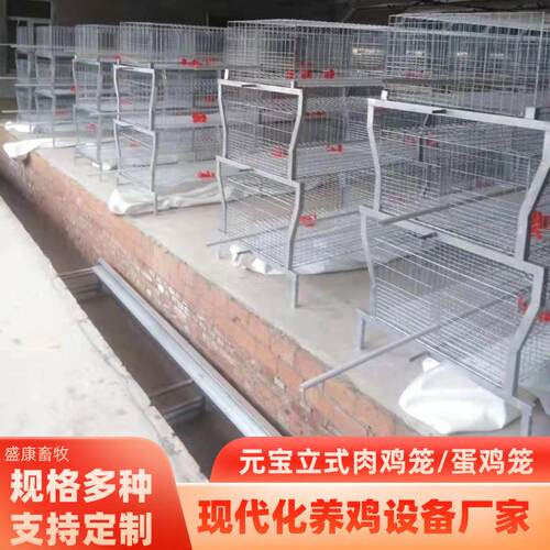 元宝式三层两门肉鸡笼自动化机械养殖肉鸡笼多层叠农场养鸡肉鸡笼