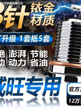 北汽专用M20/M30威旺205/206/306/307火花塞M60/M35双铱金M50/S50