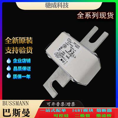 巴斯曼170M6760 170M6761 170M6762 厂家直供量大价优 方体熔断器