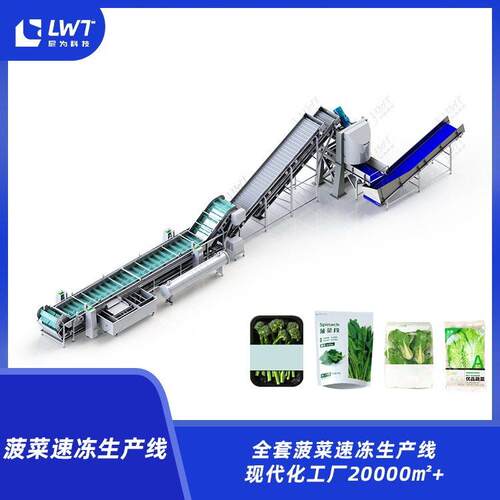 菠菜速冻设备 产地货源全自动菠菜清洗设备净菜加工设备非标定制