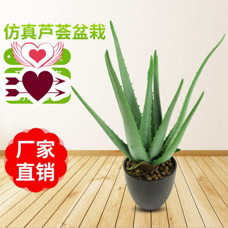 仿真多肉植物芦荟盆景 时尚摆件创意仿真花 大盆逼真软胶芦荟花
