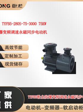 南阳TYFB5-280S-75-300075W粉尘防爆变频调速永磁同步电动机