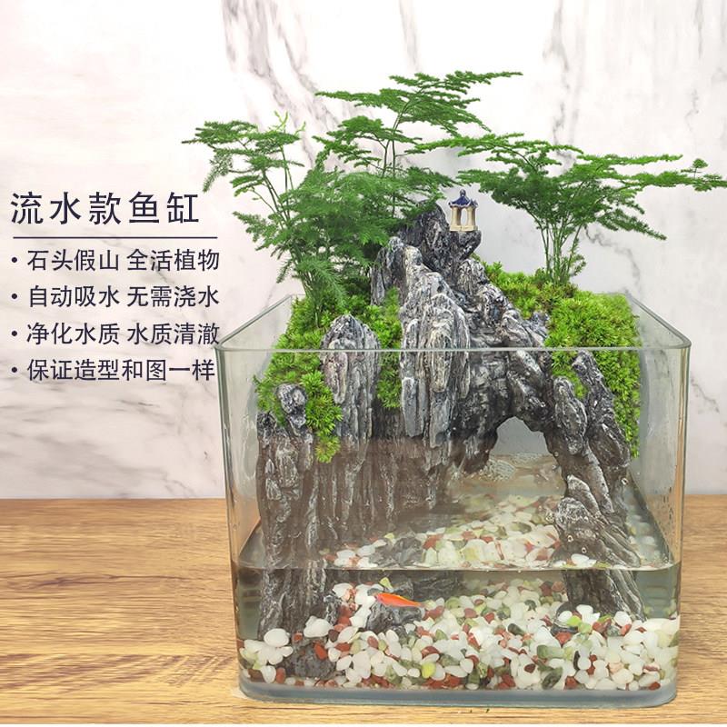 流水版鱼缸造景全套生态微景观小型桌面装饰真植物造景水草水陆缸