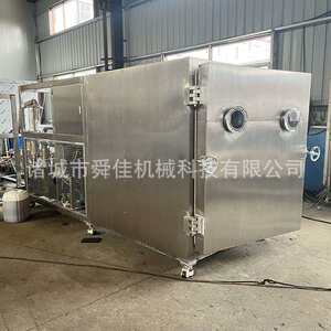 果蔬蛋糕粉低温脱水冻干机 红头竹笋专用真空干燥箱 舜佳