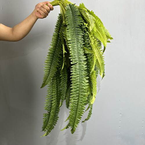 仿真蕨类植物37叶大波斯草壁挂波士顿蕨绿植排草叶蕨叶跨境园林