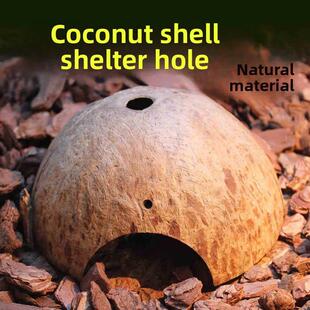 爬行动物宠物椰子壳隐藏洞穴椰子壳房子蜘蛛蝎子巢蜘蛛蝎子壁虎蛇
