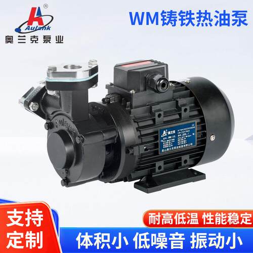WM铸铁/不锈钢热油泵模具控温卧式导热油泵超声波清洗热媒油泵碳