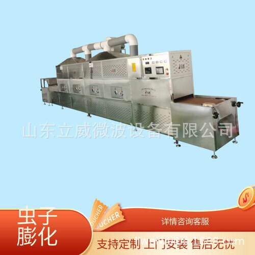 立威带式虻虫微波烘干机 黑水虻微波干燥脱水设备 各种规格供选