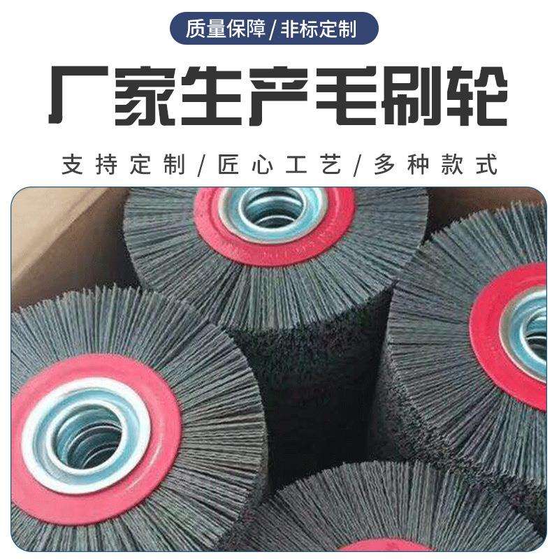 厂家供应工业毛刷轮 清洗除尘去锈去刺毛刷轮设备清理滚筒刷