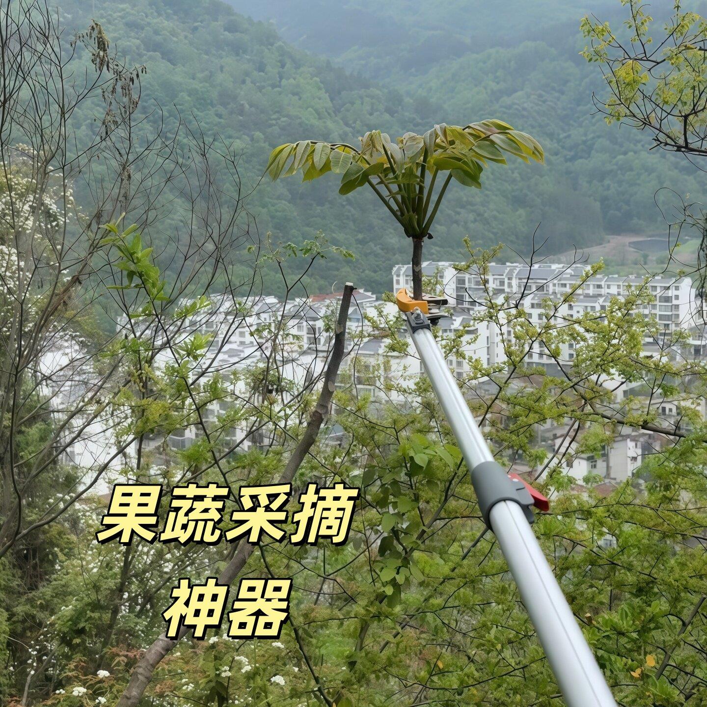 剪刀修枝剪果树高空园艺剪刀修枝剪家用大剪刀加长可伸缩果枝剪子