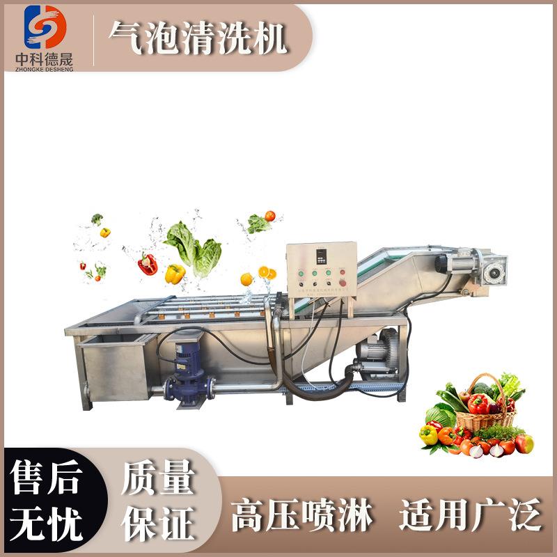 东北茄子包菜全自动蔬菜清洗机价格不锈钢水果蔬菜气泡清洗设备