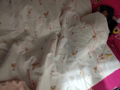 评测思萌空调被质量好吗，思萌空调被怎么样？