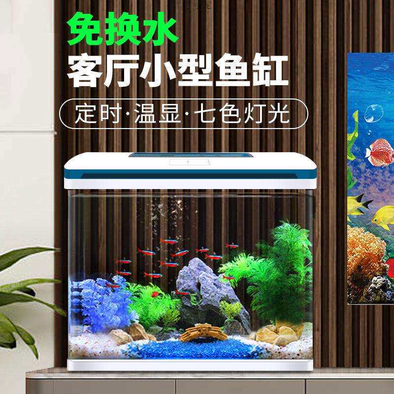 鱼缸客厅家用水族箱中小型迷你玻璃长方形生态高清懒人金鱼缸
