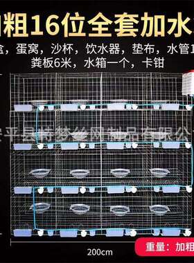 鸽笼 鸽子笼笼 鸽笼鸽鸽具 FHL式鸽 笼铁广网 鸽笼全套