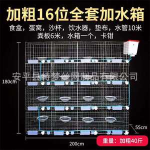 鸽笼鸽子笼 鸽 笼鸽具 式鸽笼 笼铁网KZL 广鸽笼全鸽套
