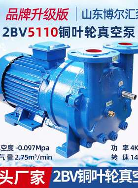 2BV5110水环式真空泵抽气泵4kw铜叶轮水环真空泵水循环泵组厂家
