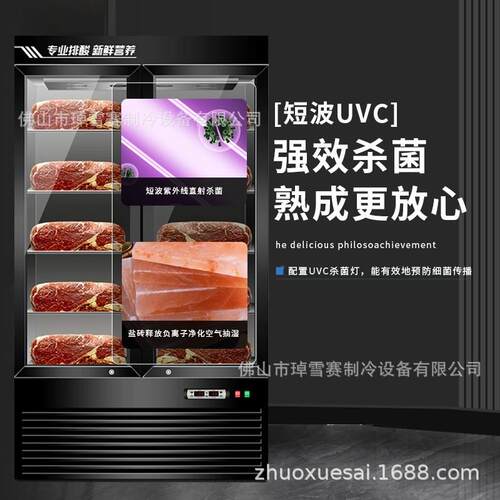 干式牛肉熟成柜展示牛排柜深海鱼保鲜商用排酸柜冷藏展示