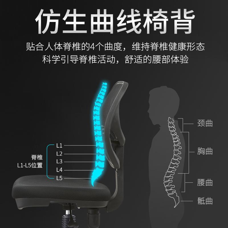 厂家小型电脑护腰椅子无调节办公椅可舒适YG-1018久椅坐简约扶手