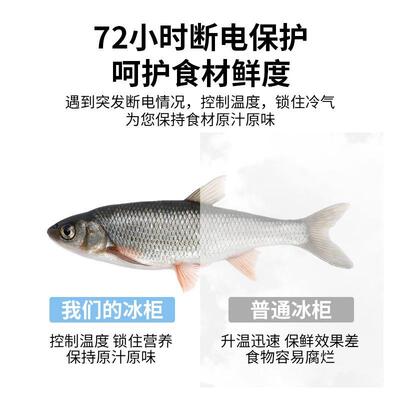 冰商藏用岛大容柜量柜透明玻璃卧式超IRN市冷柜保鲜冷冻两用冷展