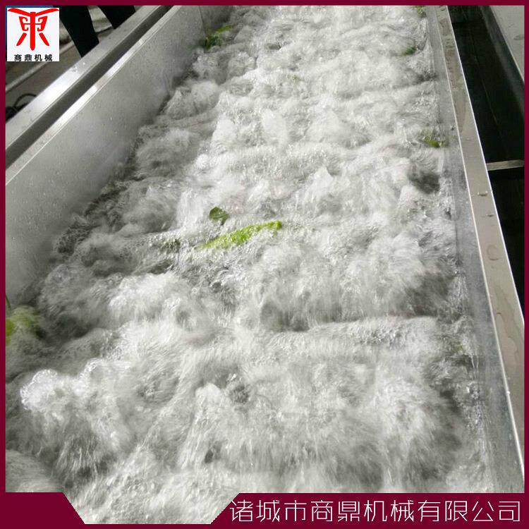 供商鼎牌流翻浪清式高压气泡清洗风干水线VJY苹果蔬菜洗设应备