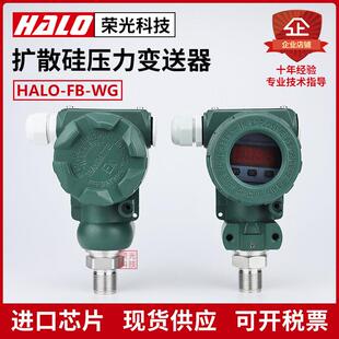 RS485通讯压力变送器 RTU 数显 防爆榔头型2088型感测器 Modbus
