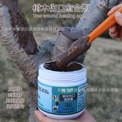 树木伤口合剂涂膜果树生物菌肥