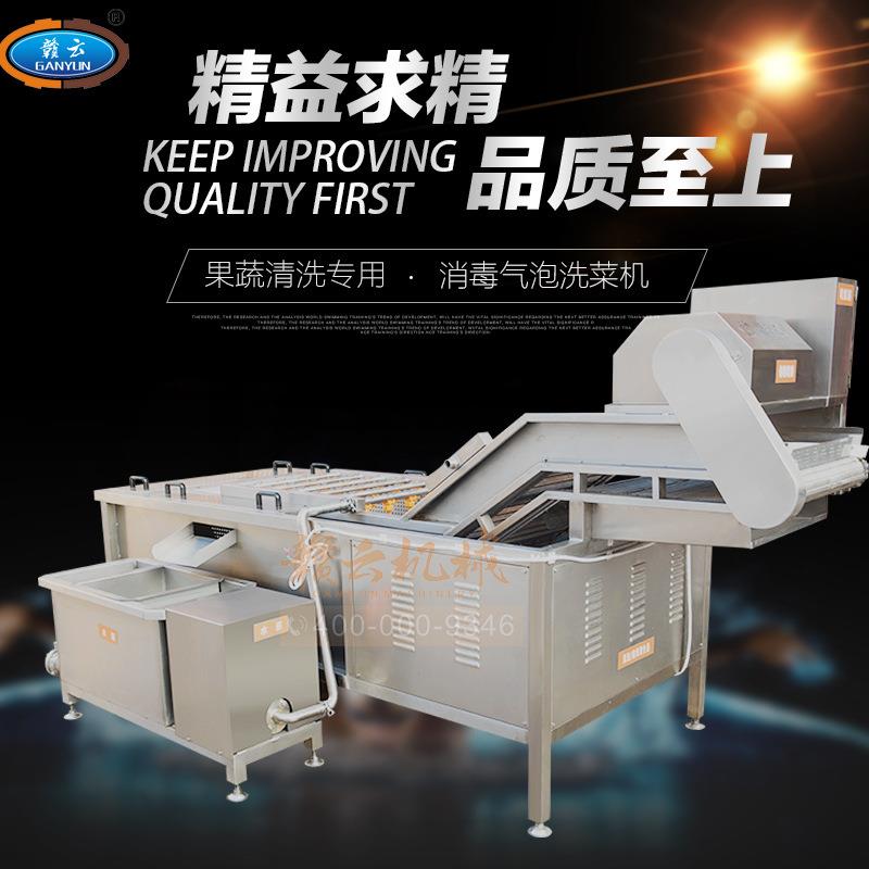 赣云大型全自动气泡清洗机臭氧消毒洗菜机连续式果蔬清洗设备