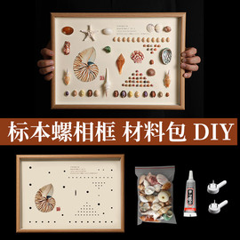 天然贝壳海螺diy材料包标本挂画手工材料相框制作家居创意装饰品