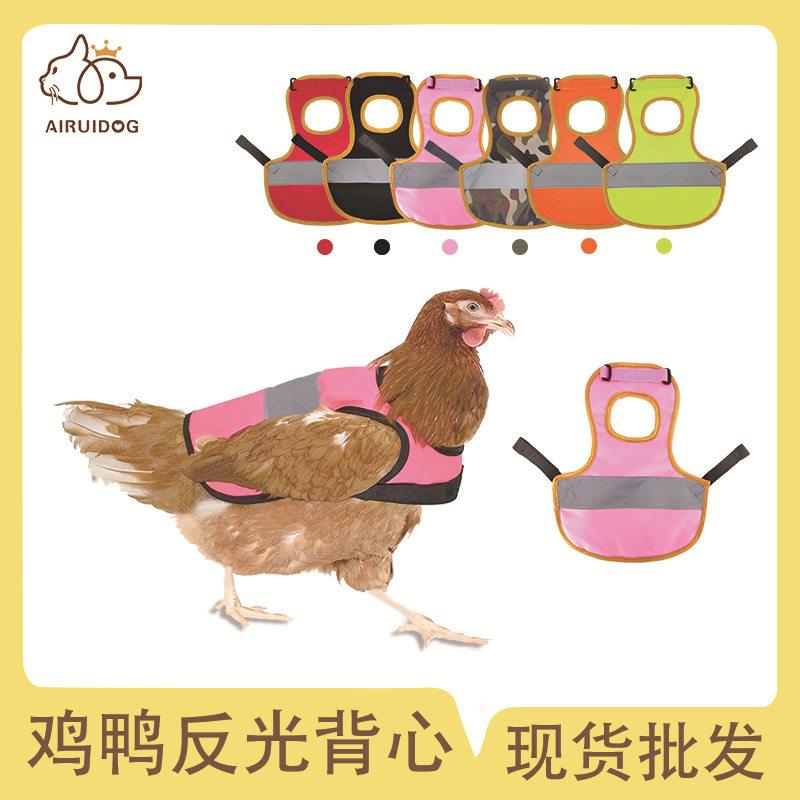 宠物鸡衣服鸡背心 宠物衣服服饰 宠物用品鸭鹅背心反光披风