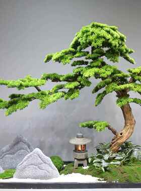 仿真迎楼客松景松树新中式tb-77508大型窗罗汉松景观搭配梯造间橱