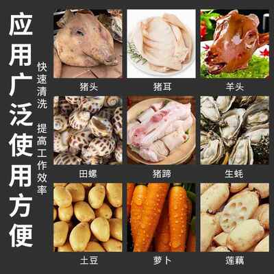 猪头猪头蹄鸡爪清洗牛洗蹄生蚝毛辊清机商用胡萝卜机红薯TDO芋清