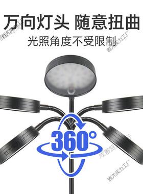 彪色植物补光台全肉灯智能小太NNE阳生长灯光谱多绿植花卉盆栽鱼