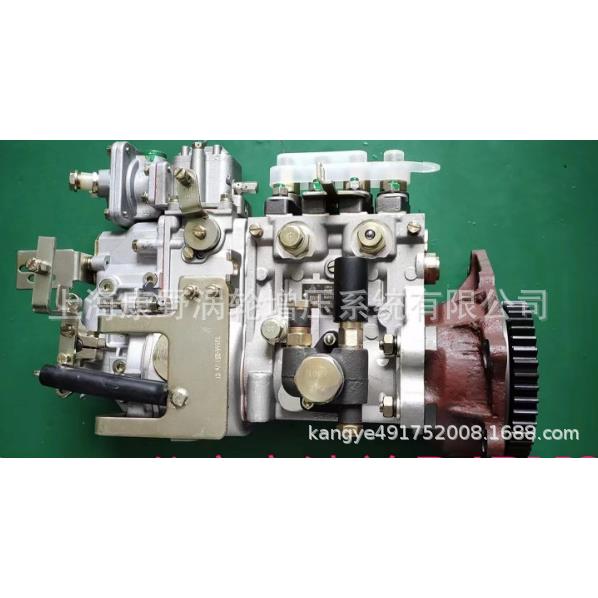 适用锡柴原装喷油泵4PWS802N BHF4PWS110202 1111010-541-2080W