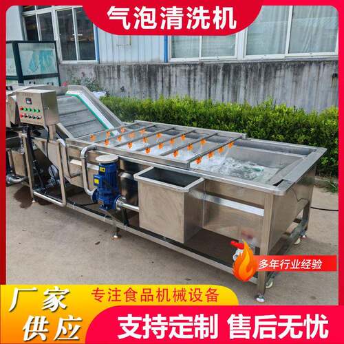 商用果蔬气泡清洗机蚕豆气泡清洗机设备毛豆喷淋鼓泡清洗风干线