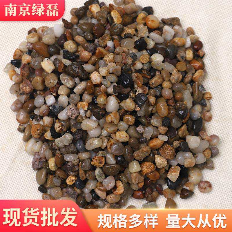 滤料豆石 厂家污水处理水过滤地暖小石头 盆栽铺面回填石子