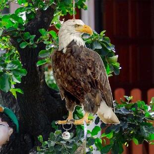 Bird Owl Realistic Use for Outdoor Repeller Y1UB