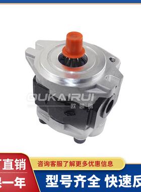 天津泊姆克齿轮泵 P124/P3100/P3100/P197/257 装载机钻机采煤机