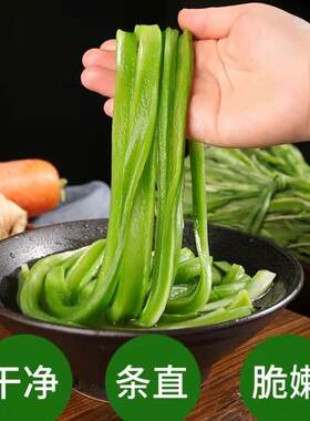 工厂新贡菜干涮火锅食材苔菜响菜干货脱水蔬干菜脱水菜云南特产