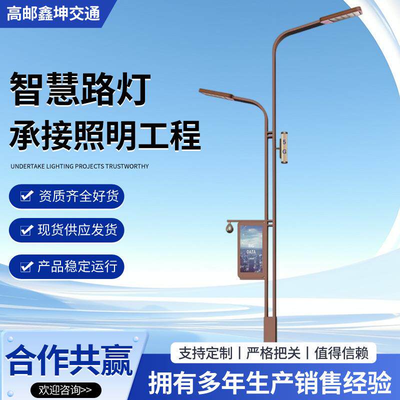 6/8/10米城市道路智慧路灯户外景观道路照明路灯环境监控厂家