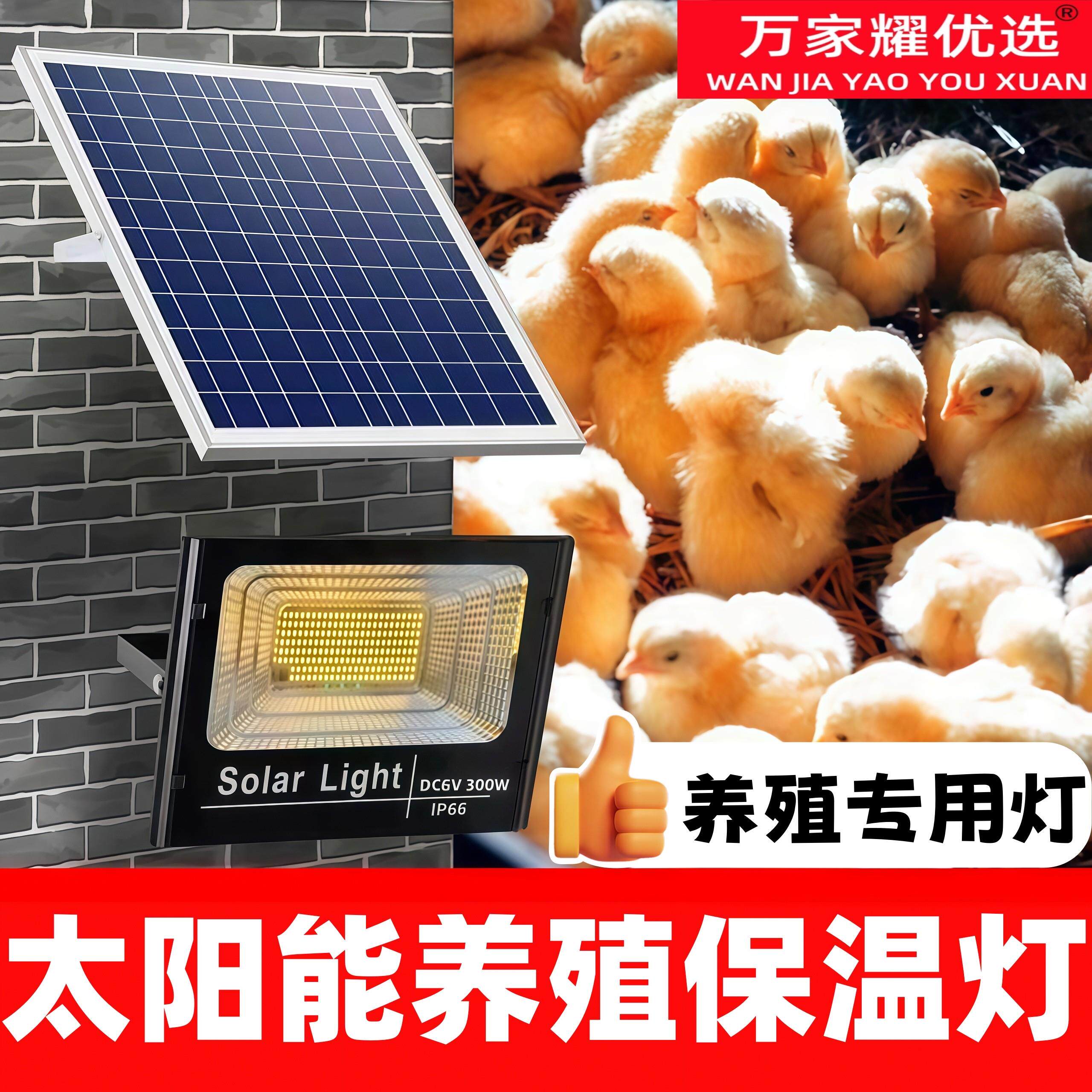 太阳能保温灯养殖场专用取暖灯冬天小鸡舍猪场鹦鹉宠物温控加热灯
