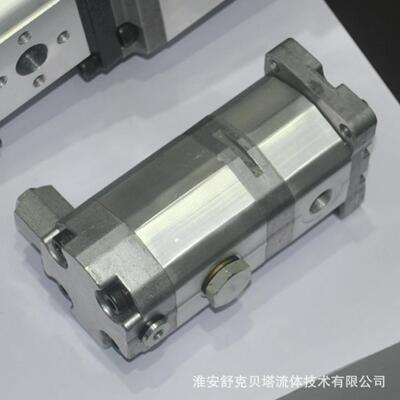 舒克贝塔流体BHP2-22系列齿轮泵