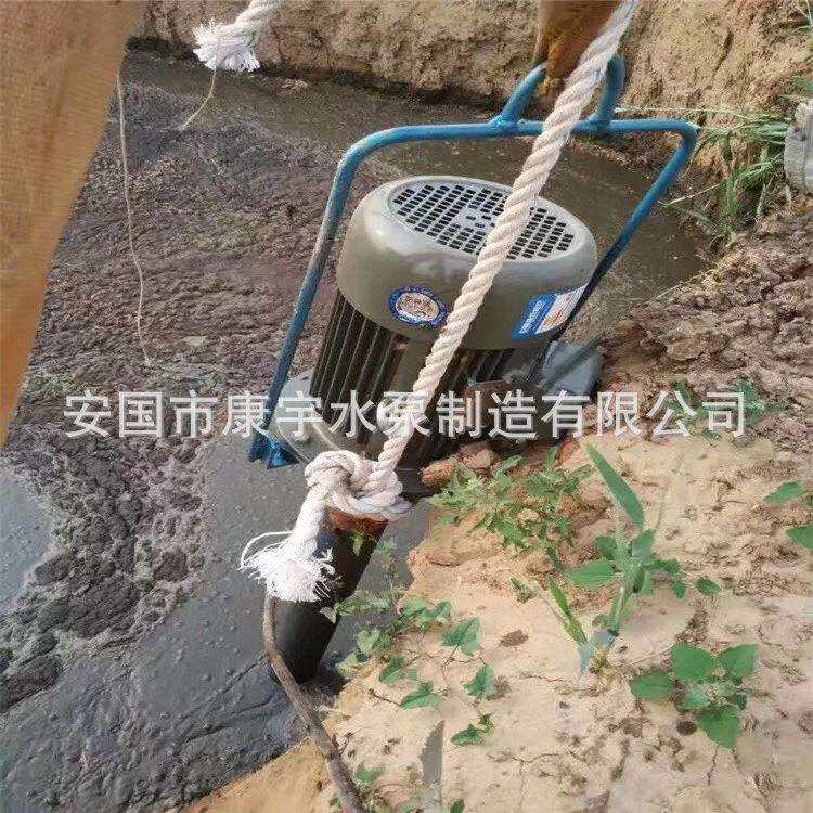 化粪池抽粪泵立式杆泵带铰刀无堵塞污水泵泥浆泵立杆污养殖吸粪机