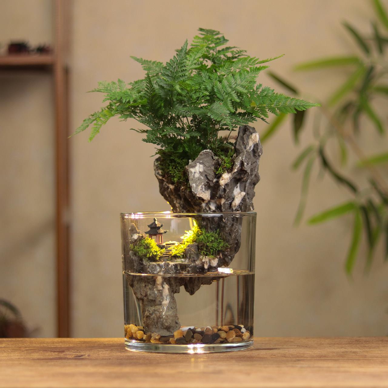 【半山亭】狼尾蕨生财造景微景观生态缸桌面室内15*15cm带灯