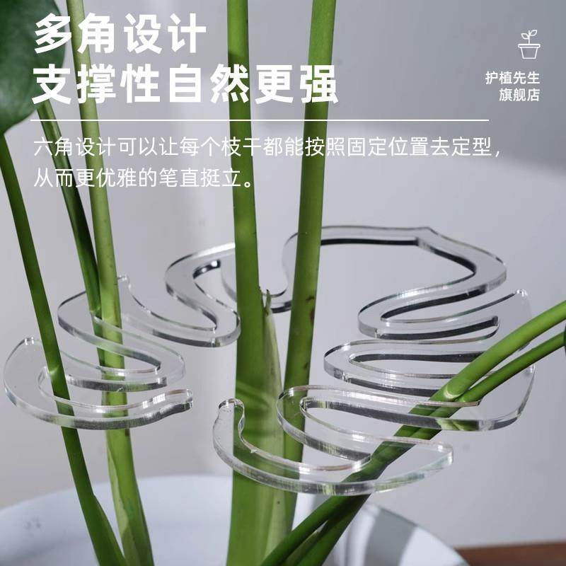 植物枝干支撑杆防倒伏支架固定器收拢架龟背竹水培神器绿植花支架,鲜花速递/花卉仿真/绿植园艺,其它园艺用品,淘宝优惠券,粉丝福利购,淘宝优惠卷