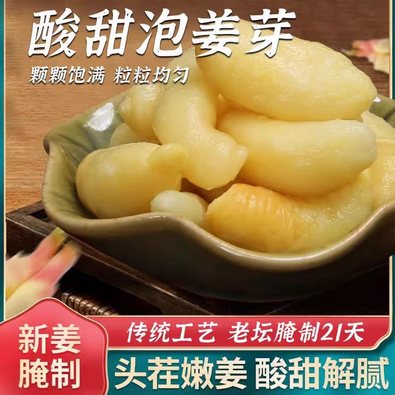 酸甜脆嫩枸杞泡姜芽咸菜山东特产仔子生姜芽片泡菜下饭菜新鲜腌制