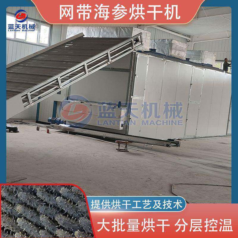 网带海参烘干机大连海参鲍鱼海鲜干货脱水烘干设备海产品干燥机