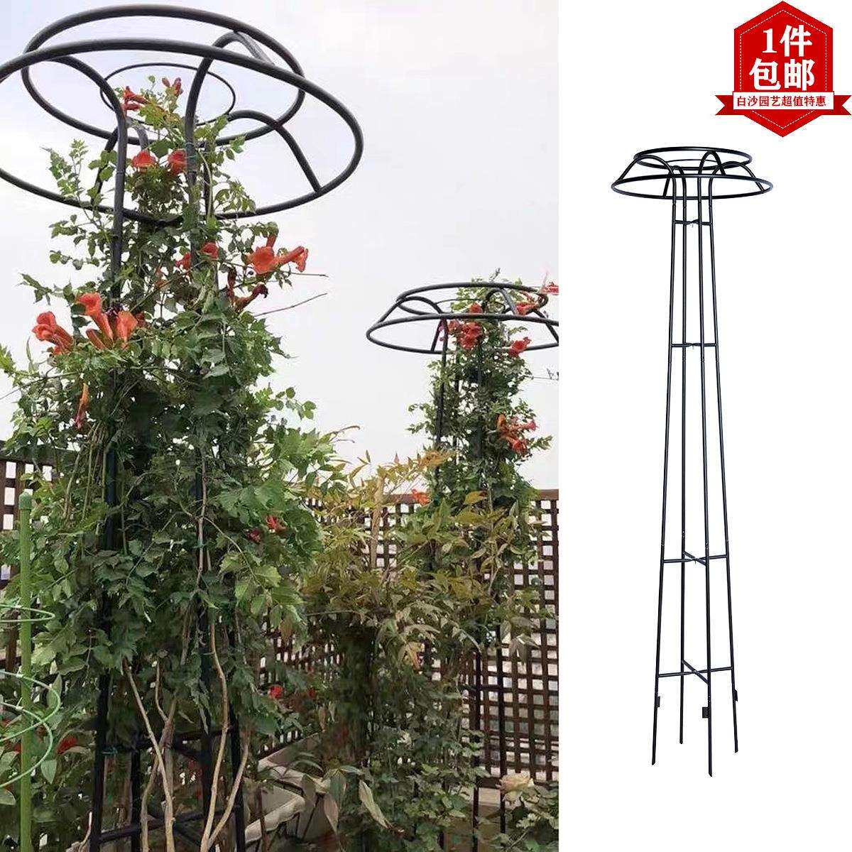 蘑菇爬藤架园艺花架庭院花园伞型铁艺爬藤花架铁线莲蓝雪花素馨花