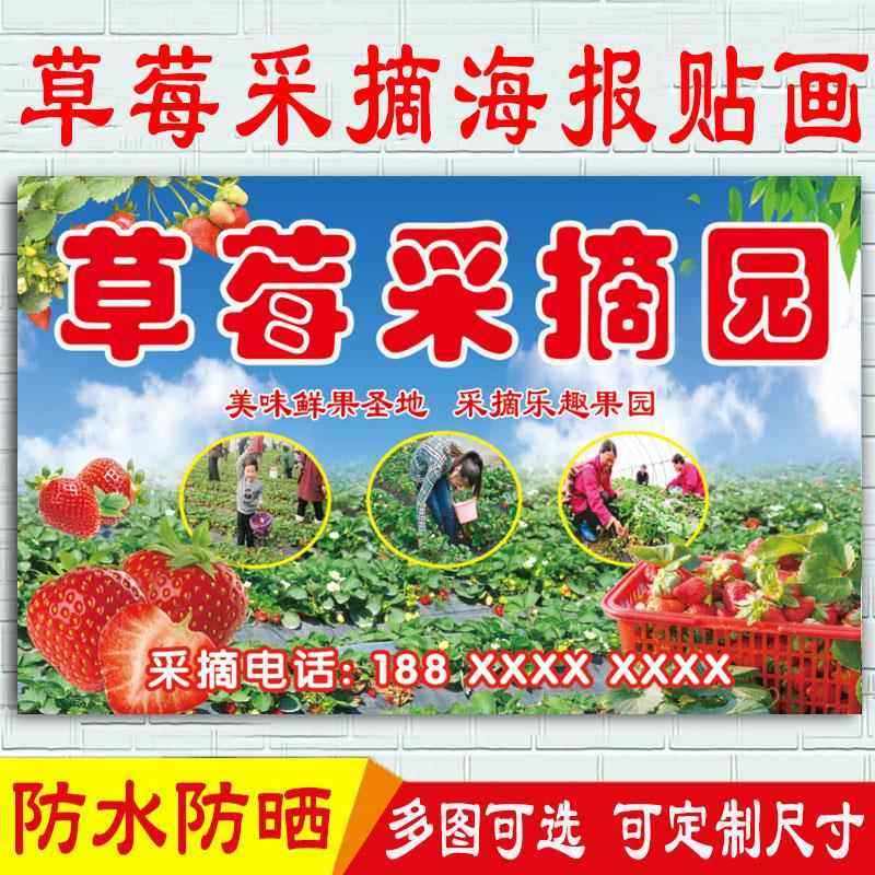 草莓采摘宣传广告布草莓园户外招牌喷绘布海报卖草莓防水贴纸定制,个性定制/设计服务/DIY,写真/海报印制,淘宝优惠券,粉丝福利购,淘宝优惠卷